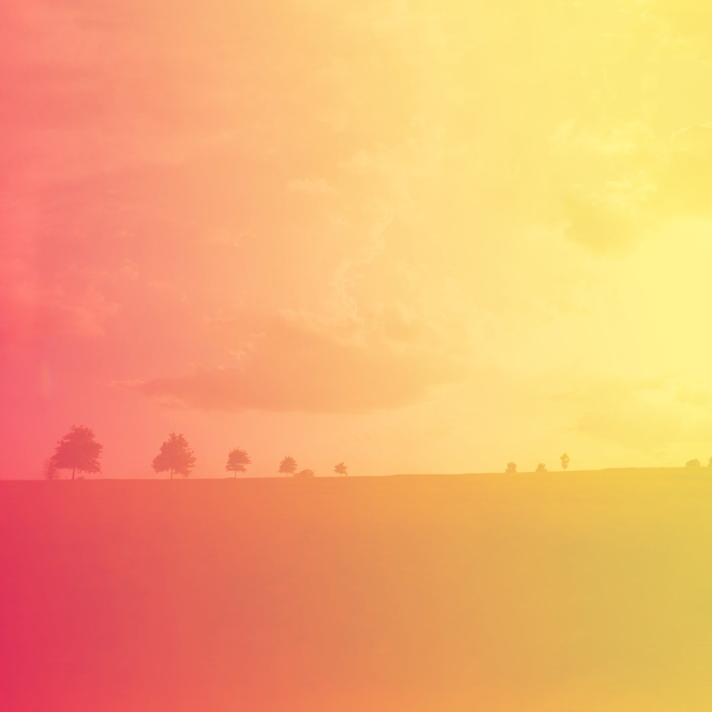 endless love Blank