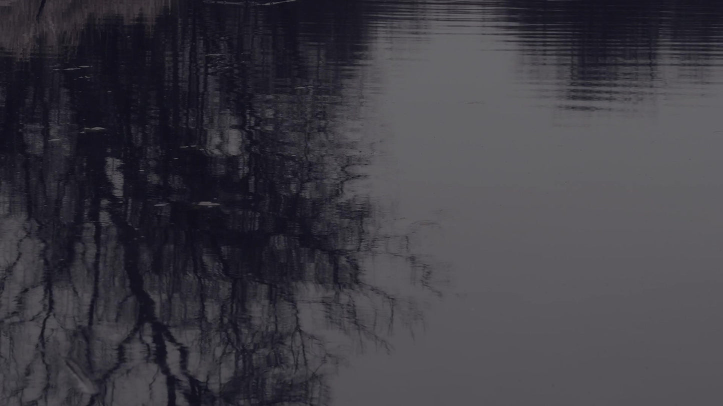 Bleak Beauty Reflect