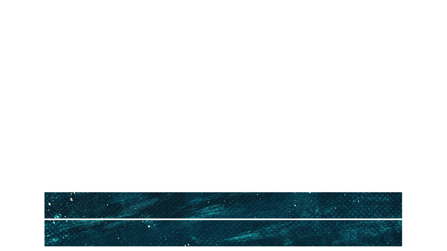 Nativity Brush Lower Third Blank 02