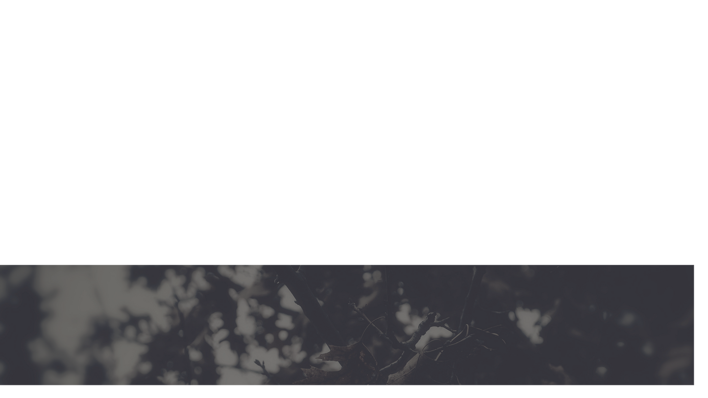 Bleak Beauty Lower Third 1