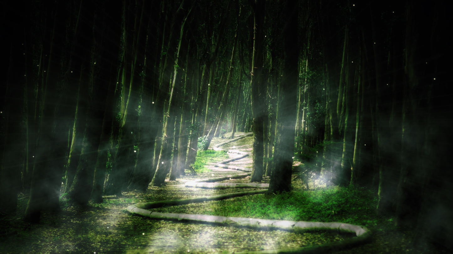 Silent Forest Path