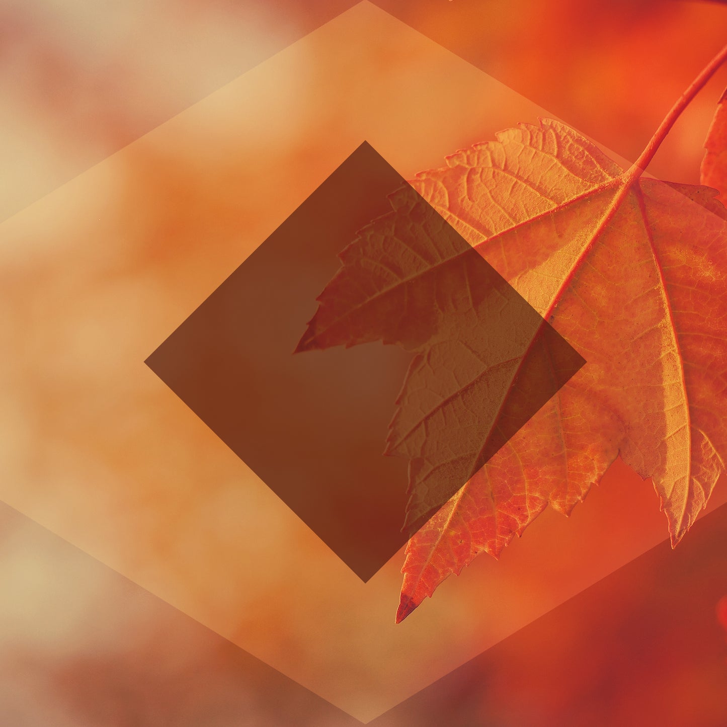 Autumn Oasis