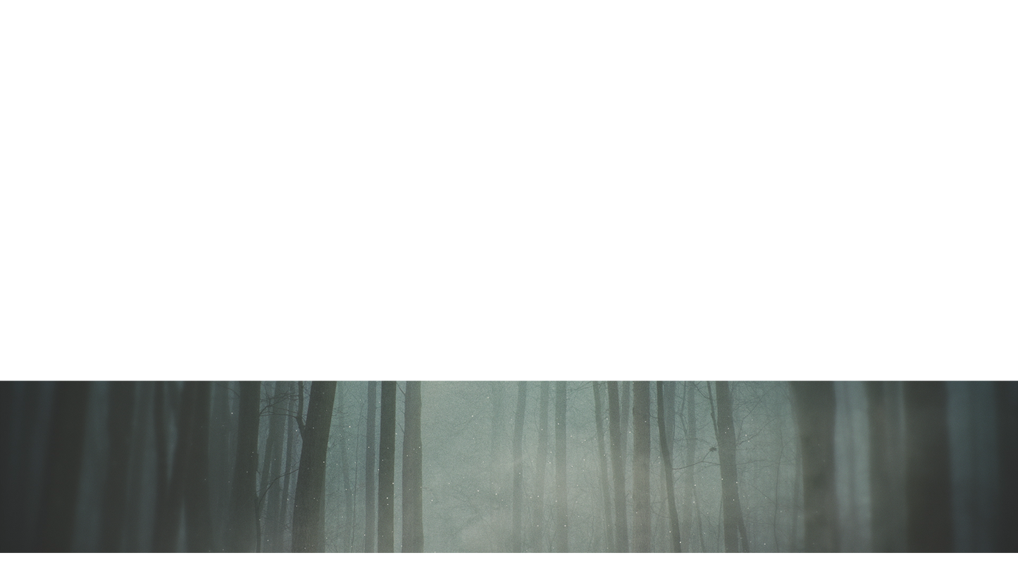 Moody Autumn Lower Third Full 1