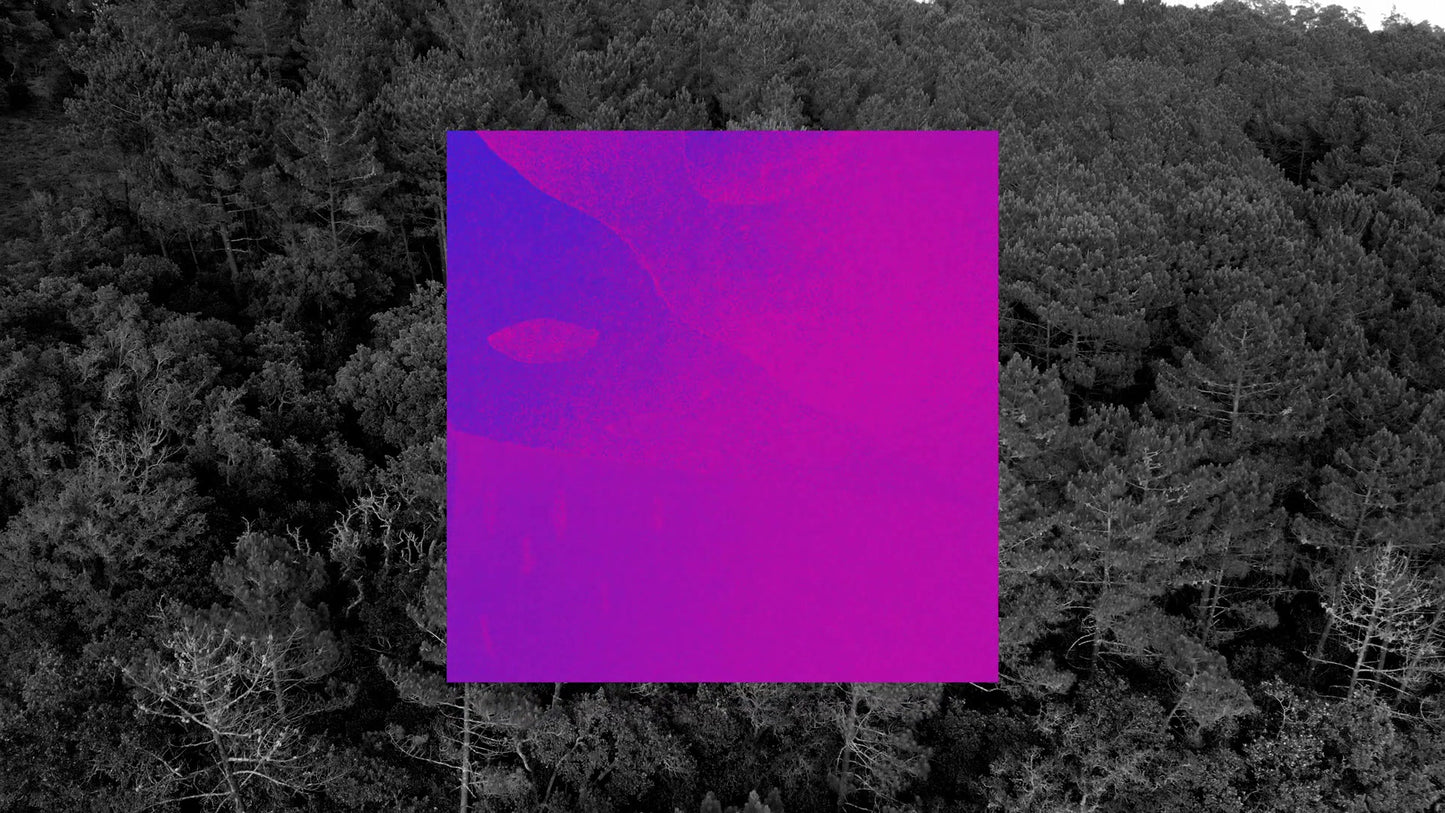 Vibrant Nature B 03
