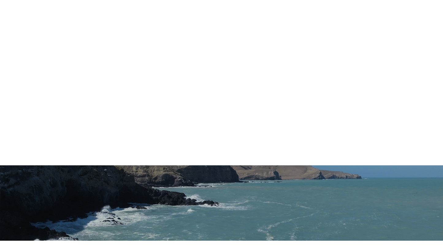 Birdlings Flat Lower Third 16