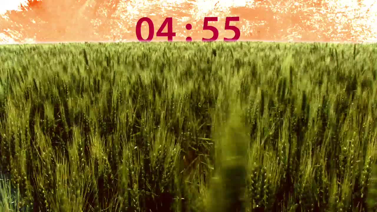 Field Countdown