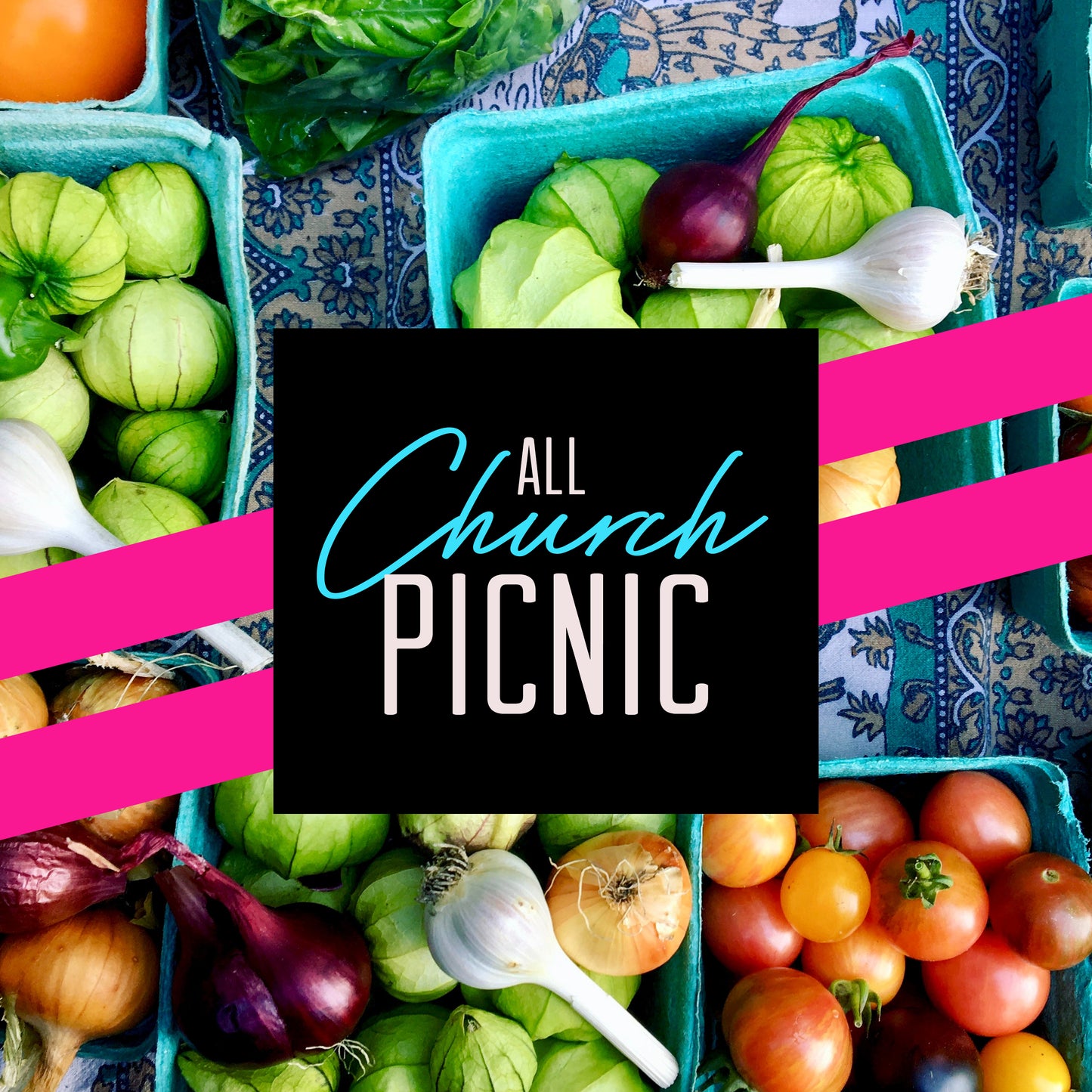 All Church Picnic