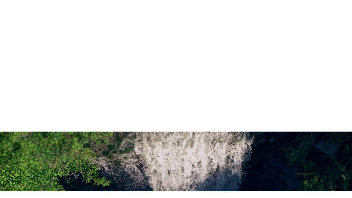 Natures Force Lower Third 4