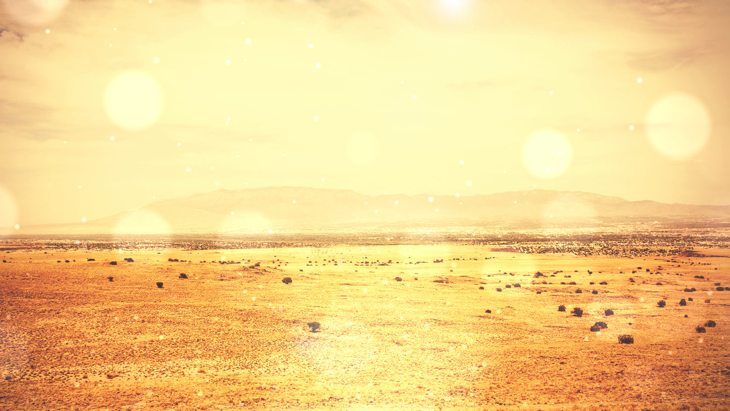 Desert Sky