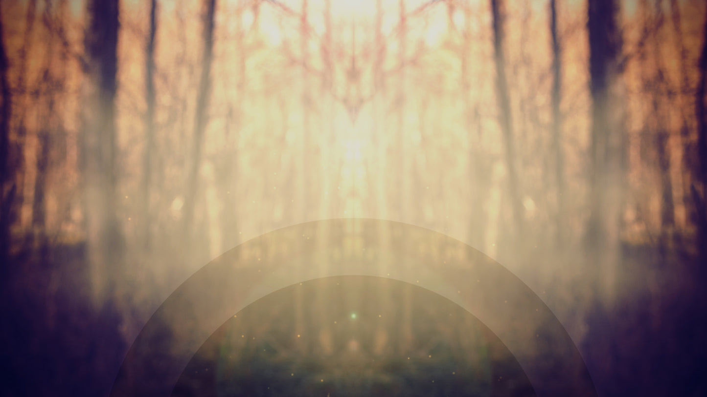 Fall Geometry Mist