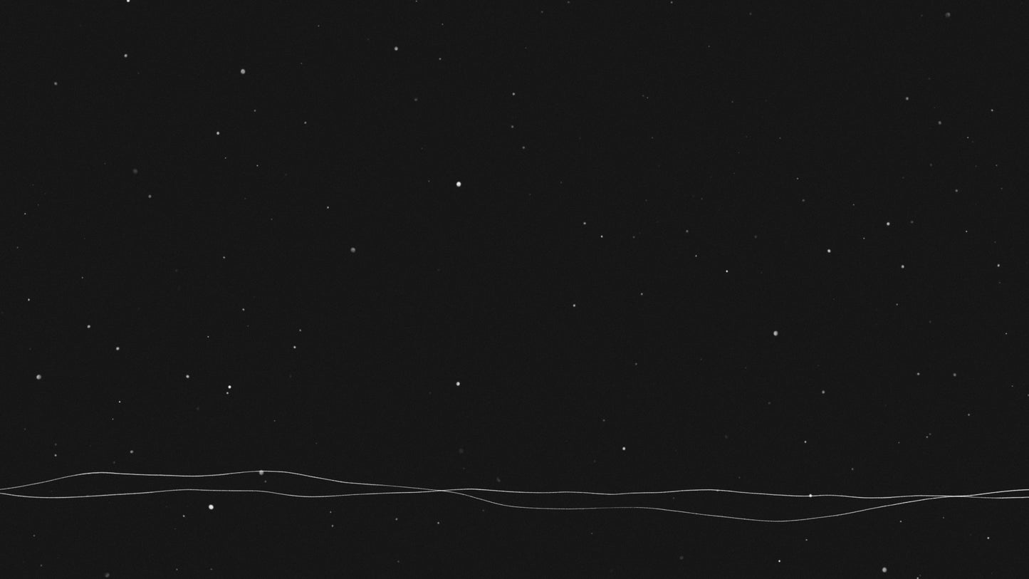 Silent Night Lines