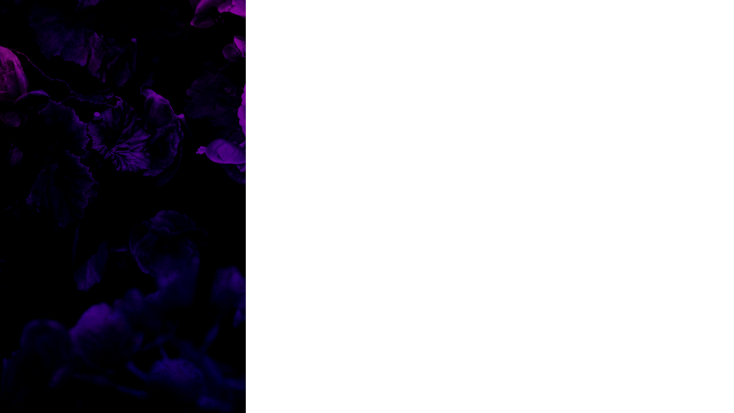 Floral Paint Lower Third Left Blank