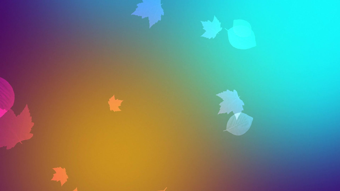 Vibrant Fall 07