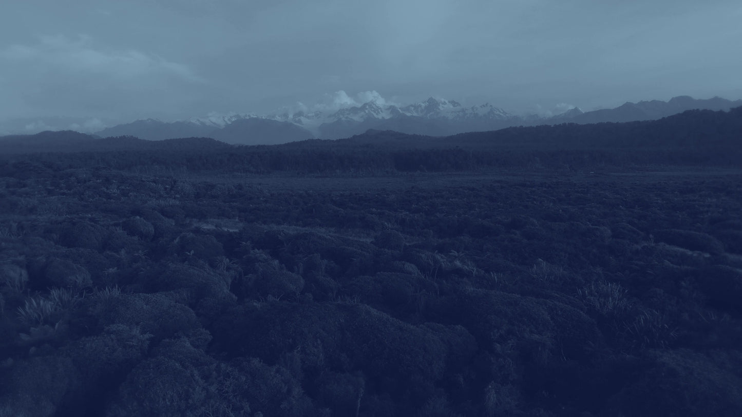 Gillespies Beach 1 alt