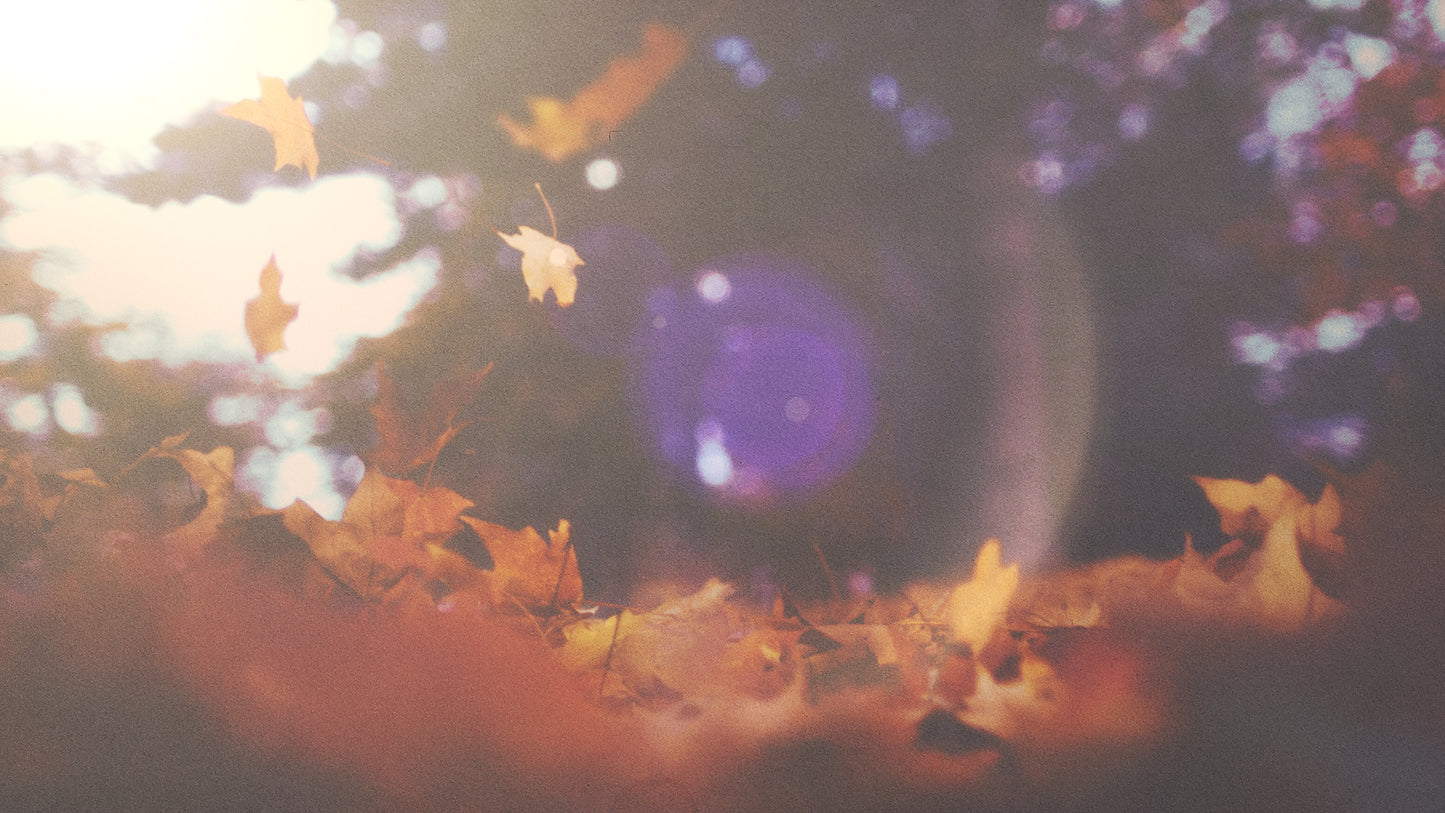 Autumn Light 03 Still