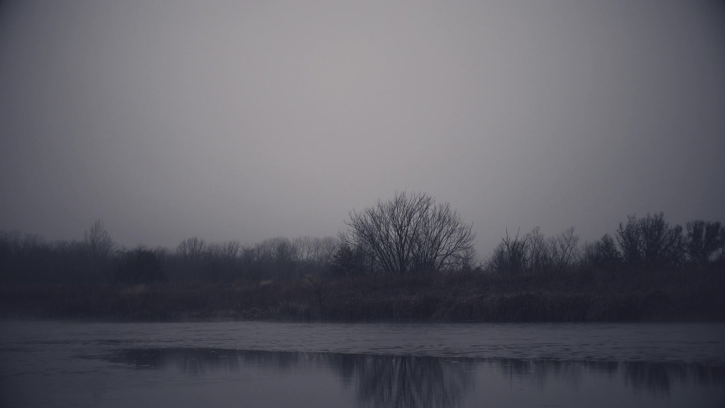 Bleak Beauty Shoreline