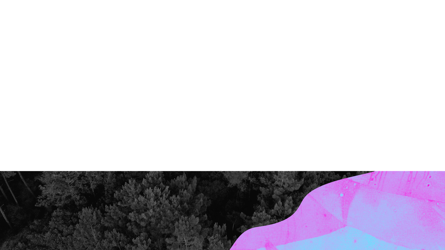 Vibrant Nature B Lower Third Full Blank Large