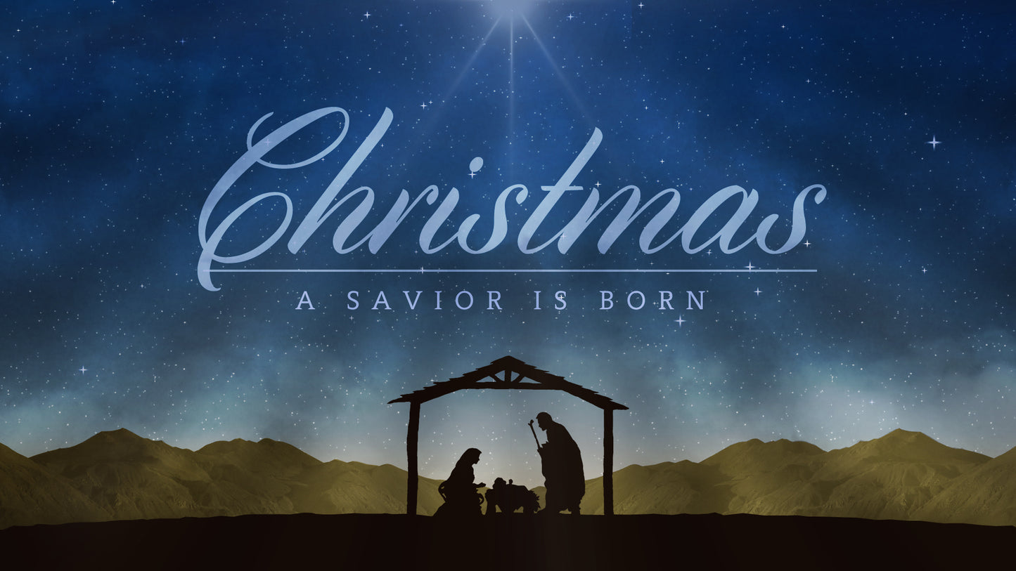 Nativity Night Christmas