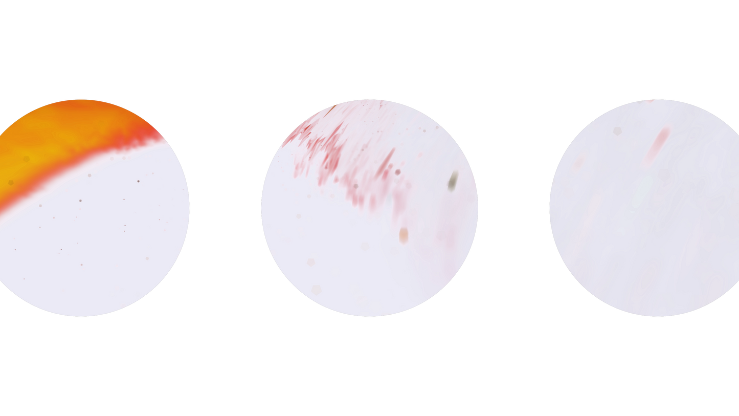 Beautiful Disruption Flare