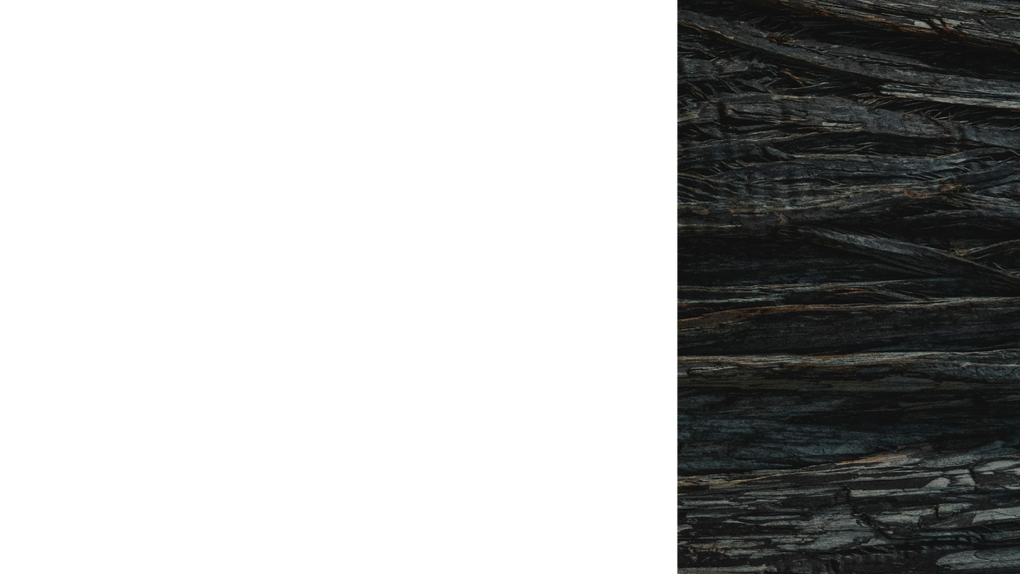 Winter Woods Lower Third Right Blank