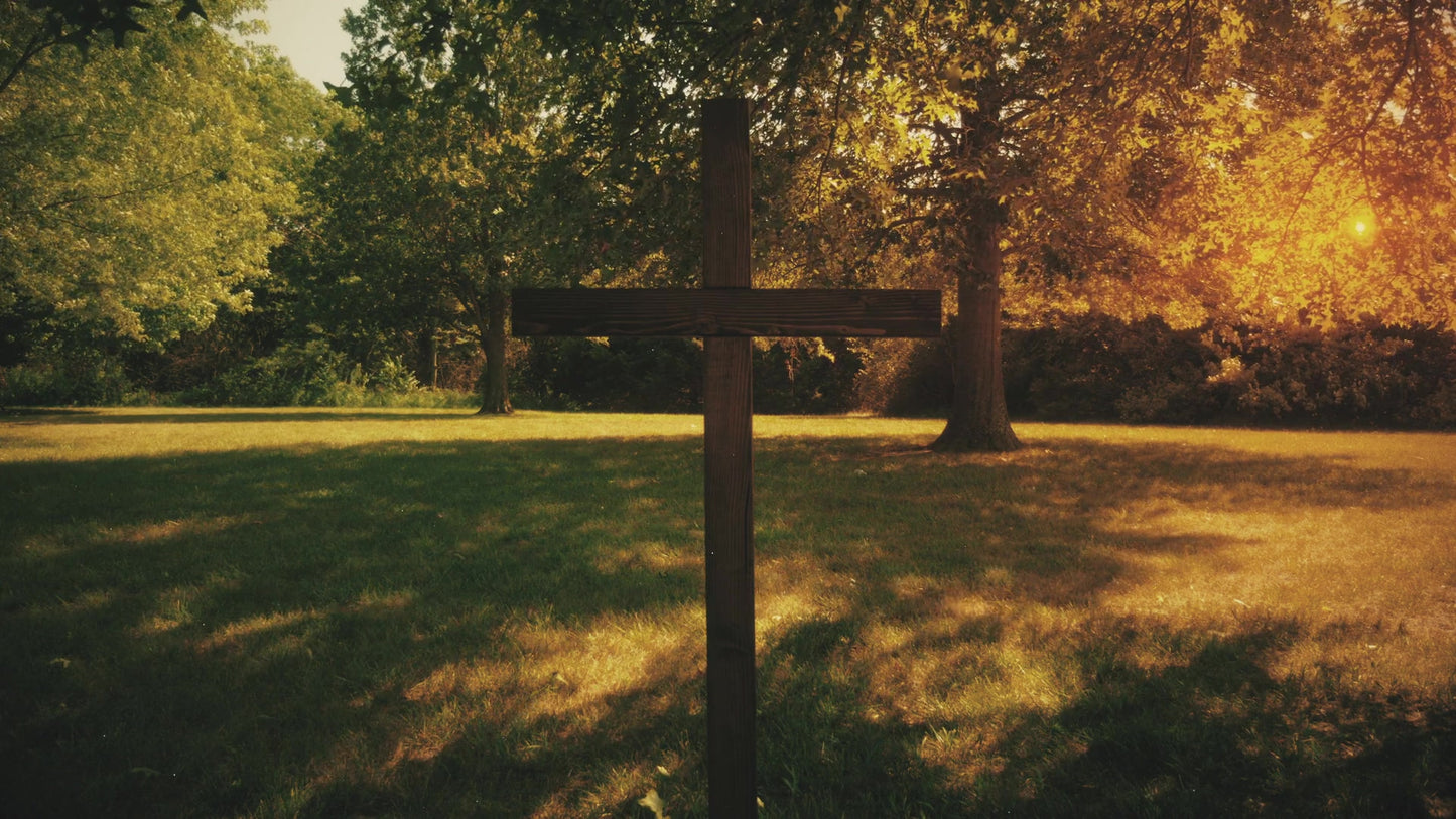 Nature Cross 6