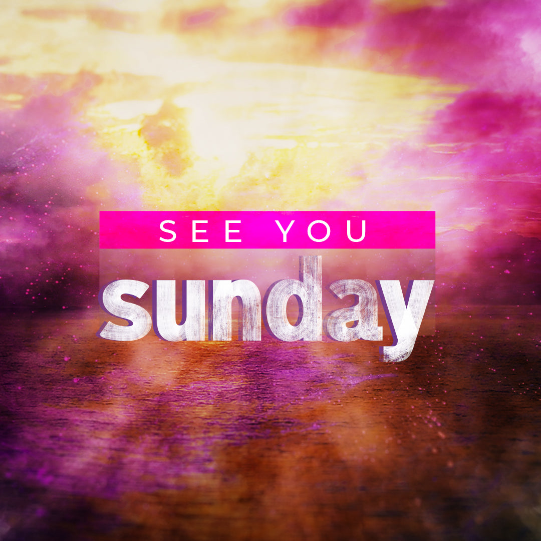 Sunday Vivid Nature