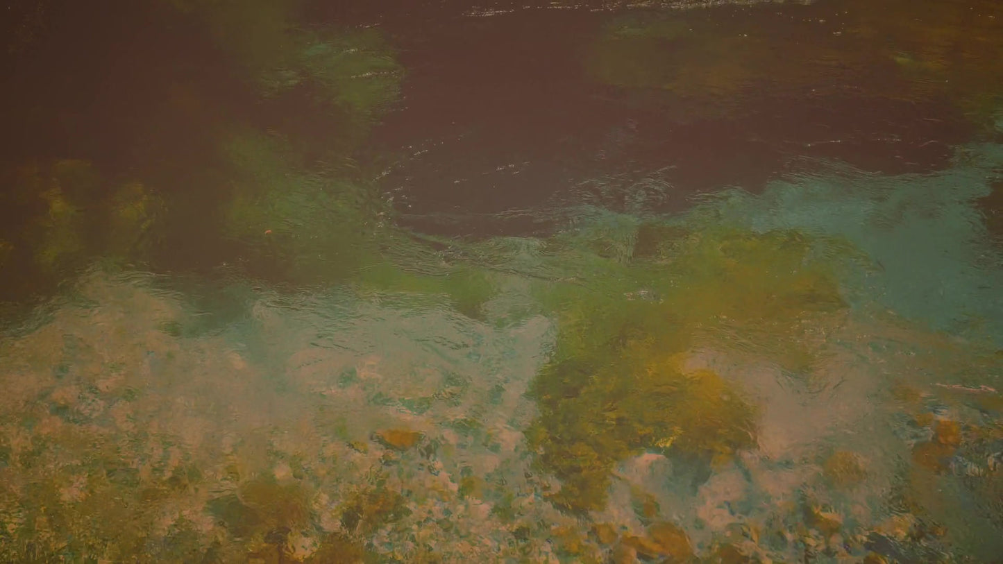 Blue Eye 9 Vintage