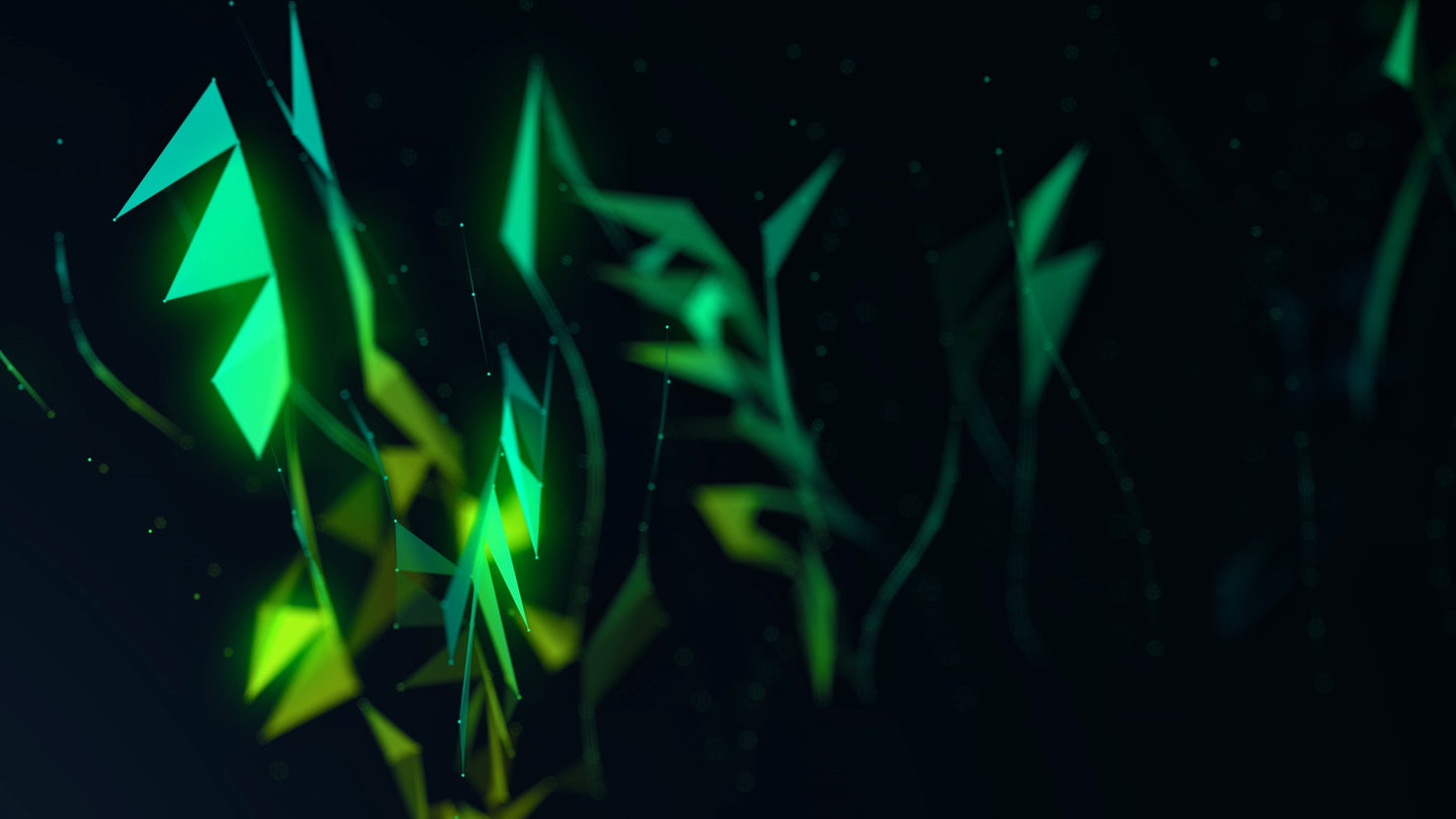 Network Palms