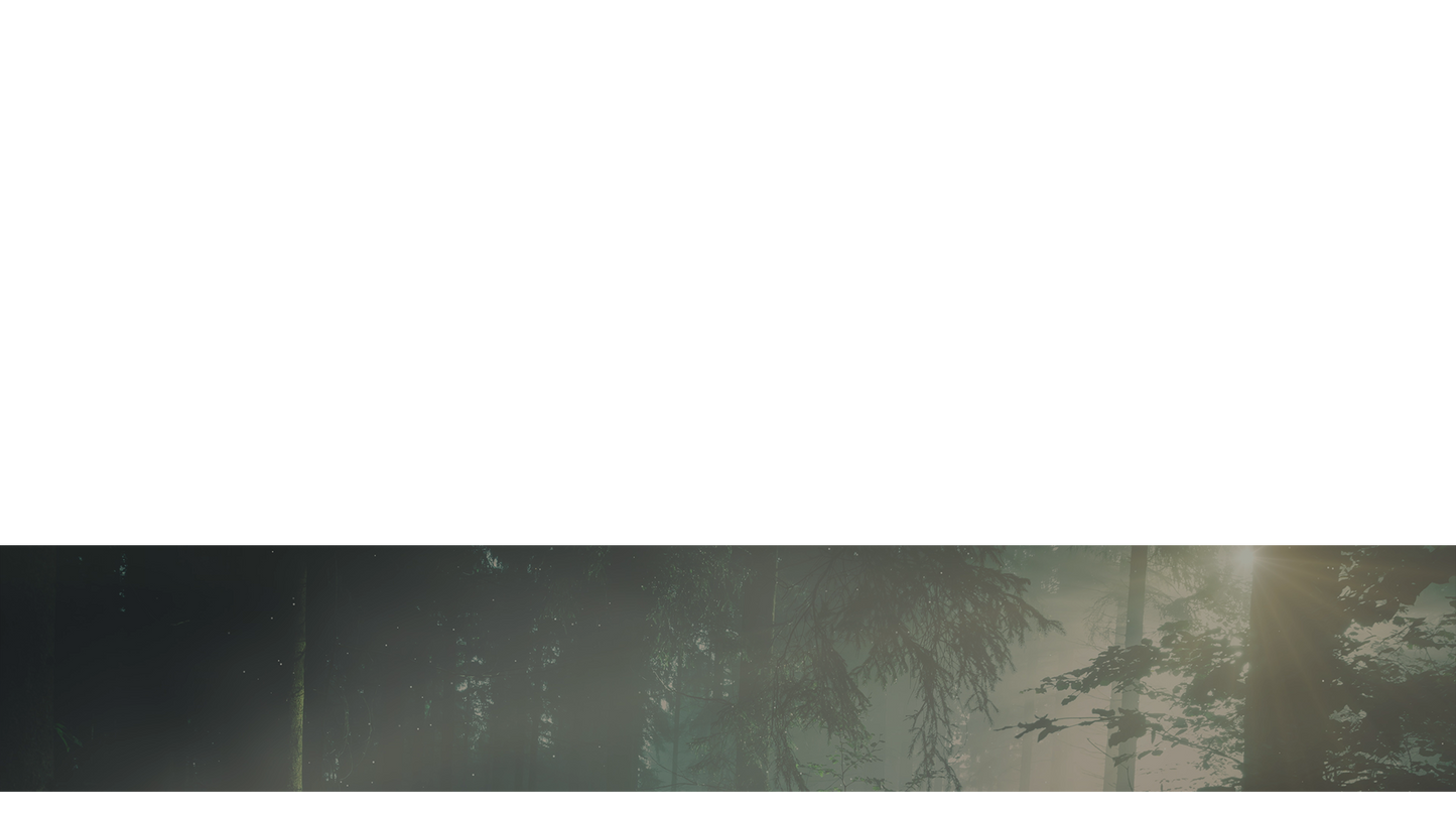 Lumberjack Dad Lower Third Full 1