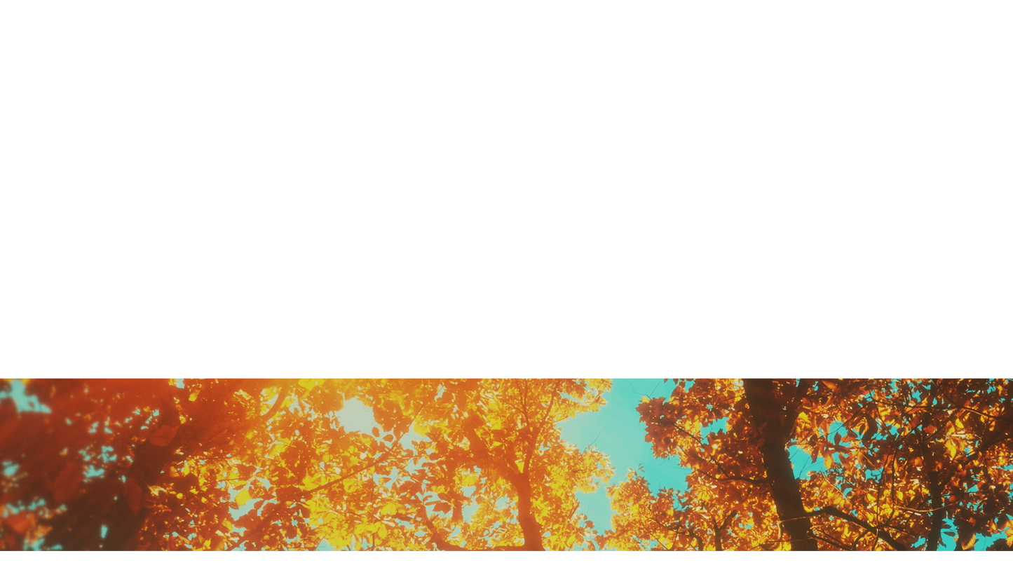 Autumn Canopies Lower Third 5