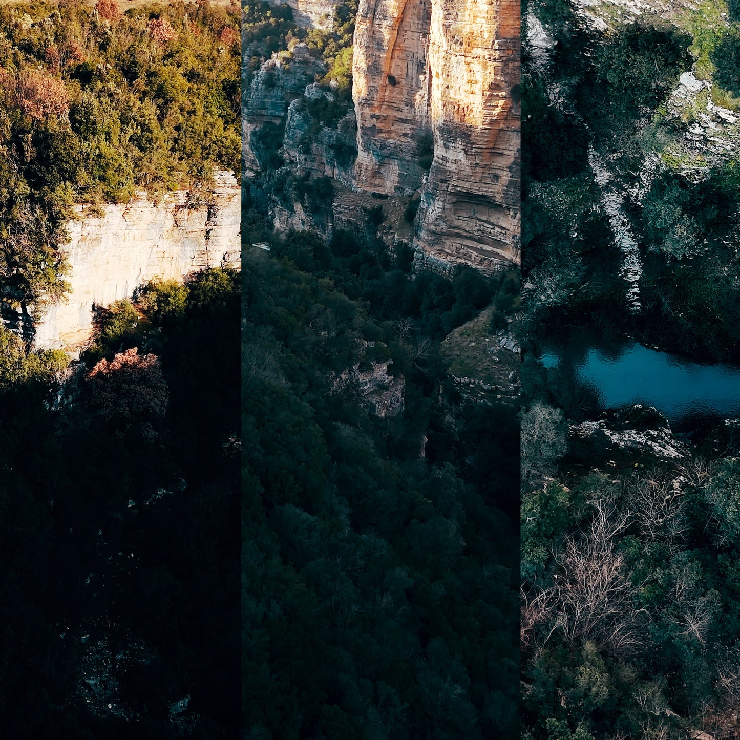 Spring Scripture Blank