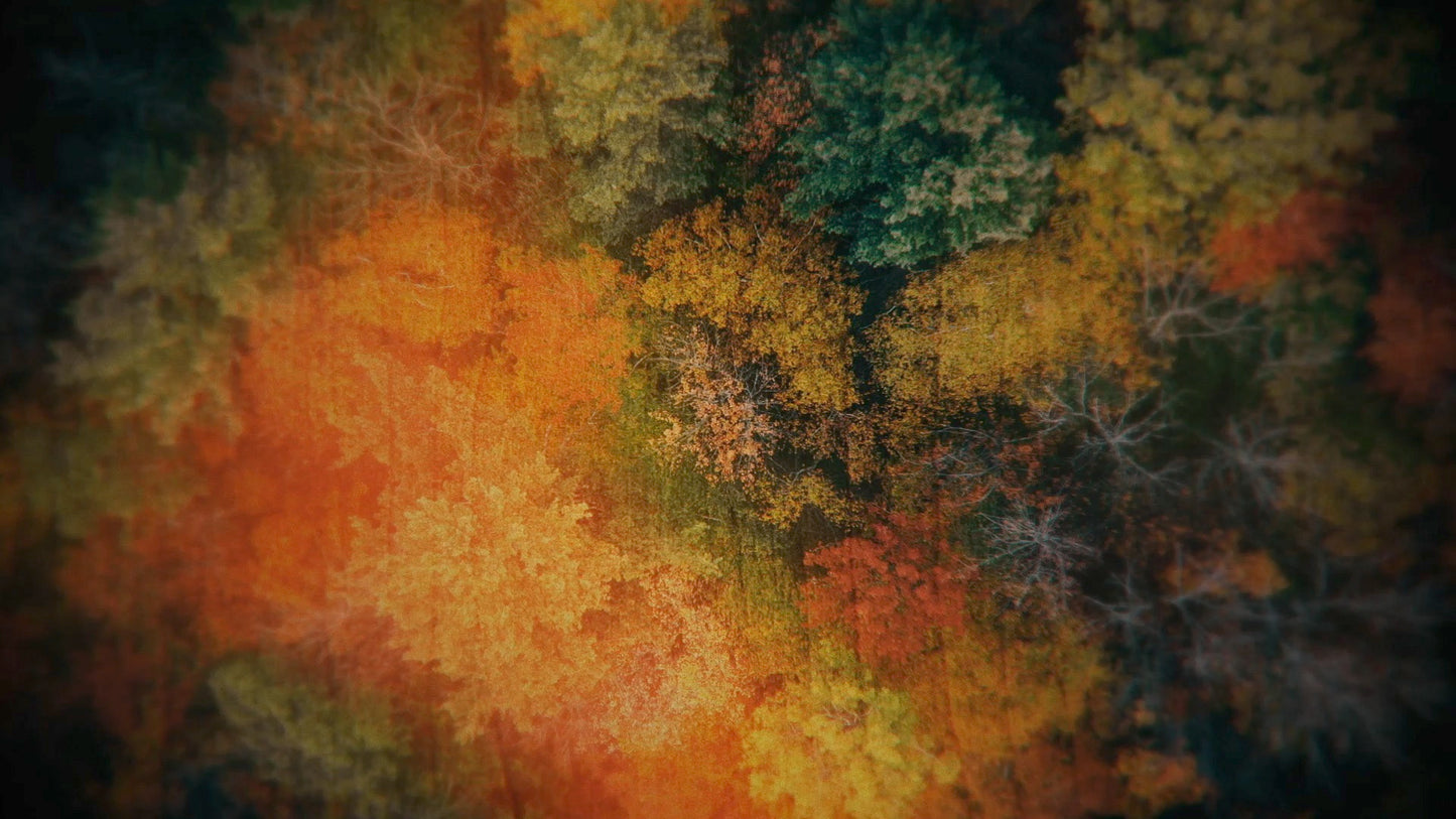 Aerial Journey 8 Still