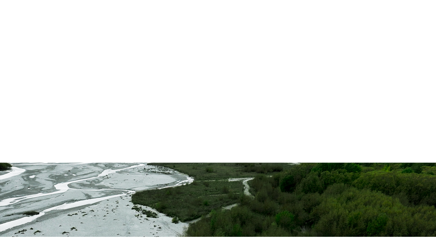 Peaceful Flight Lower Third 12