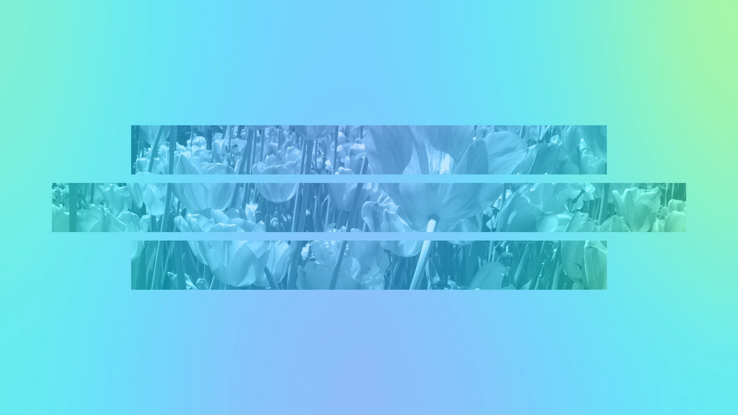 Radiant Gradient Mother's Day Title Blank 02 Still