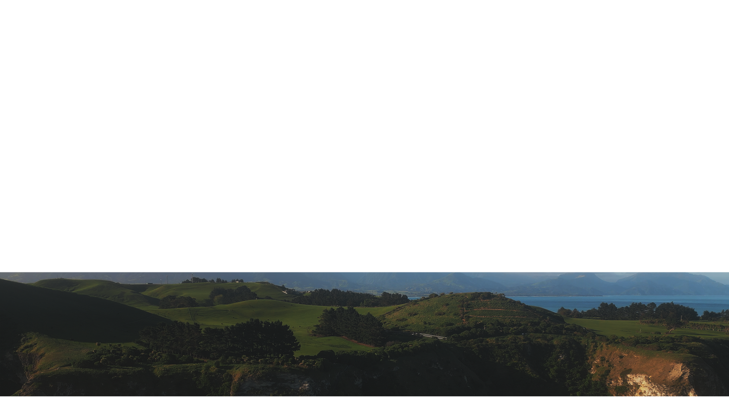 Oceanfront Lower Third 2