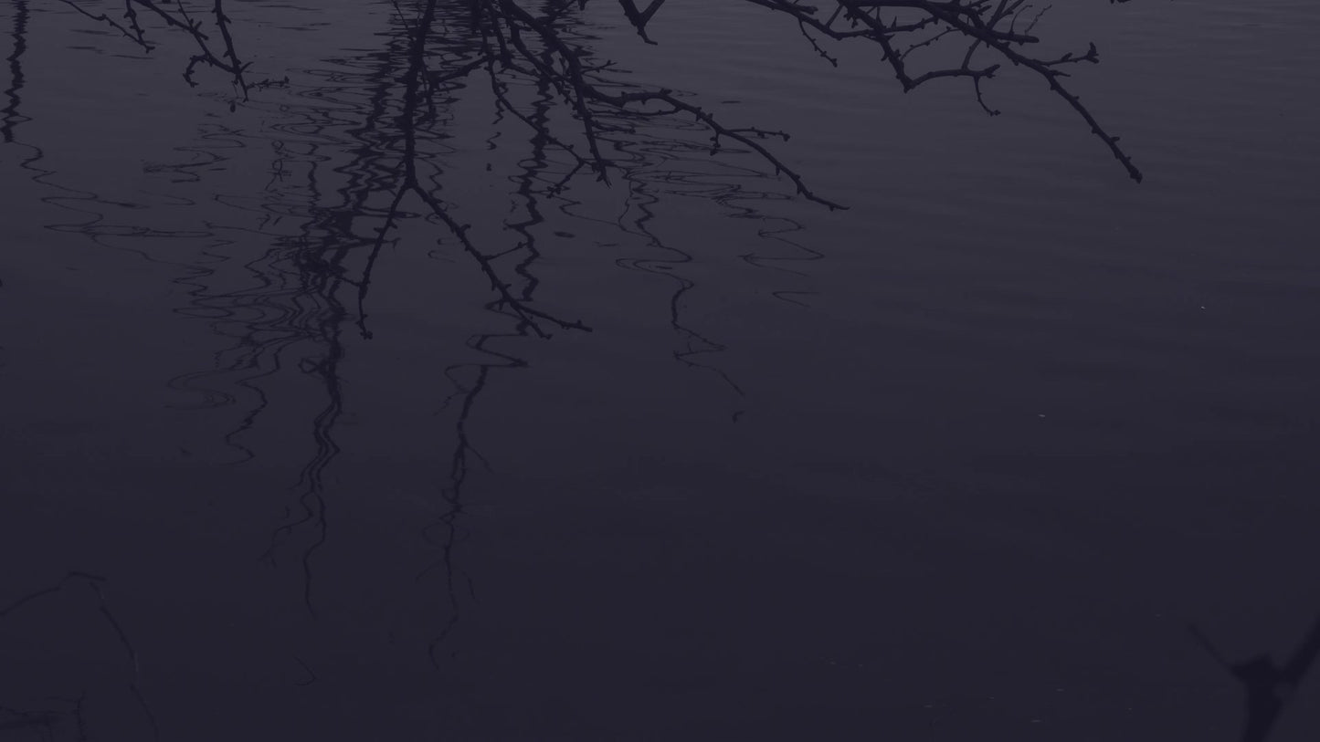 Bleak Beauty Pool