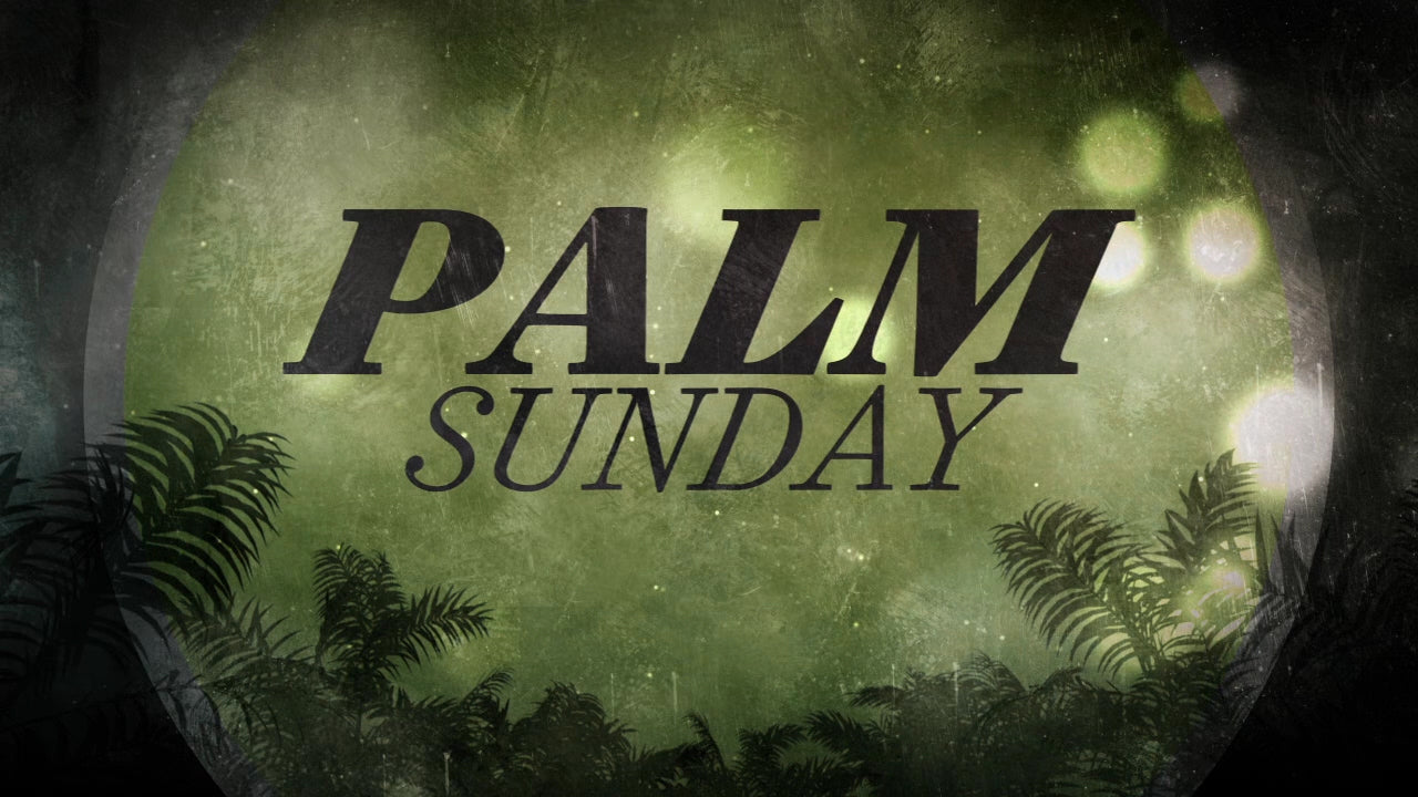 Palm Bokeh Palm Sunday Still