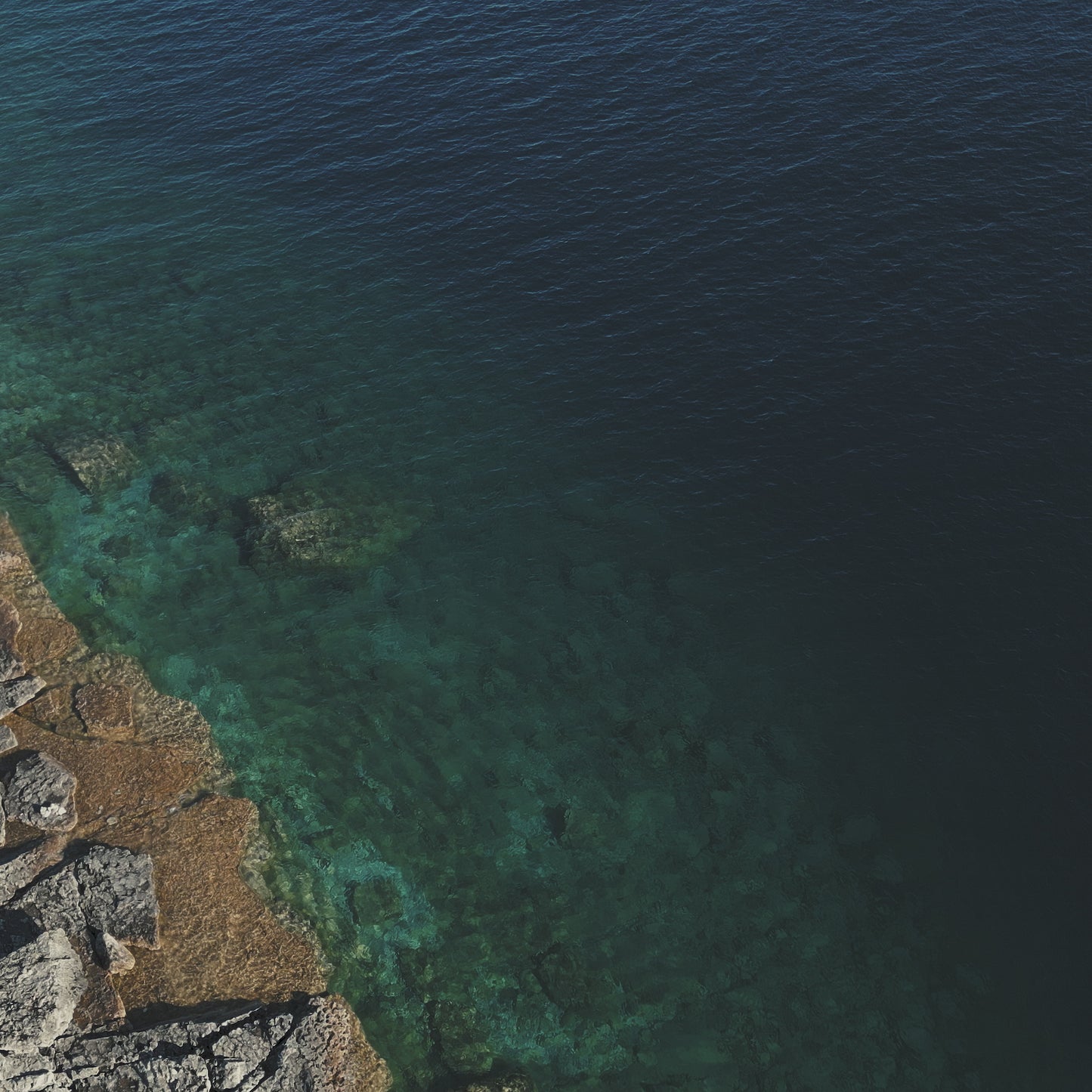 Giving Northern Shores