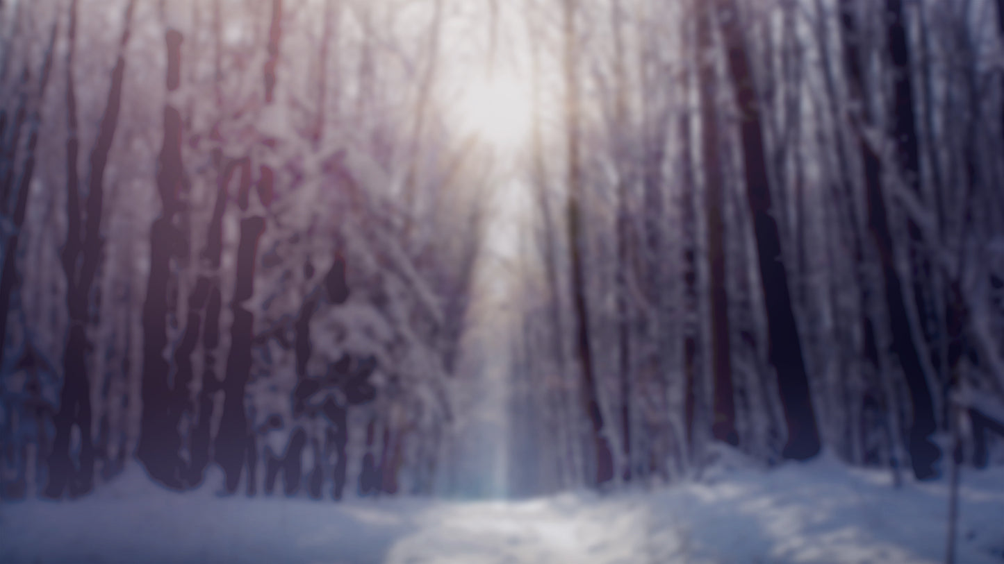 Christmas Forest Fresh