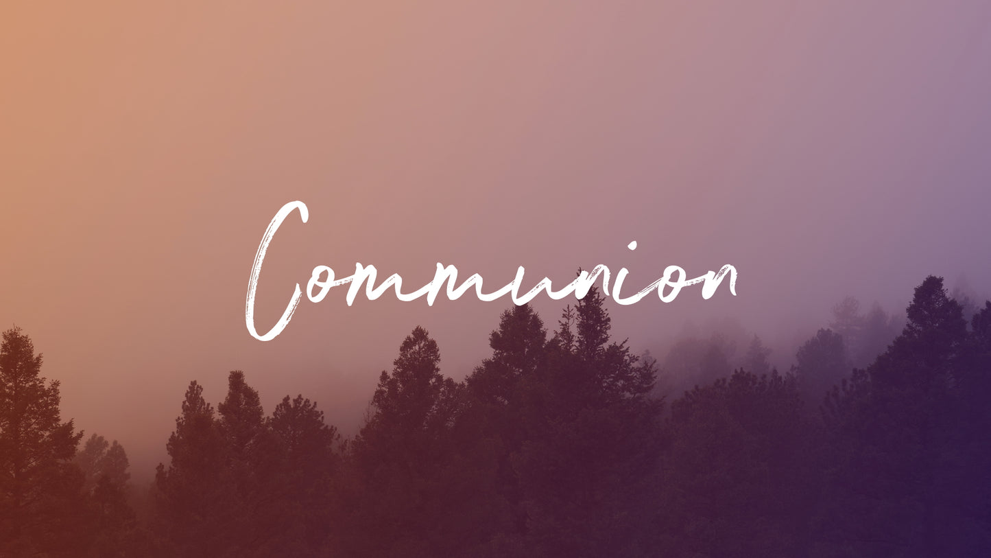 Misty Forest Communion