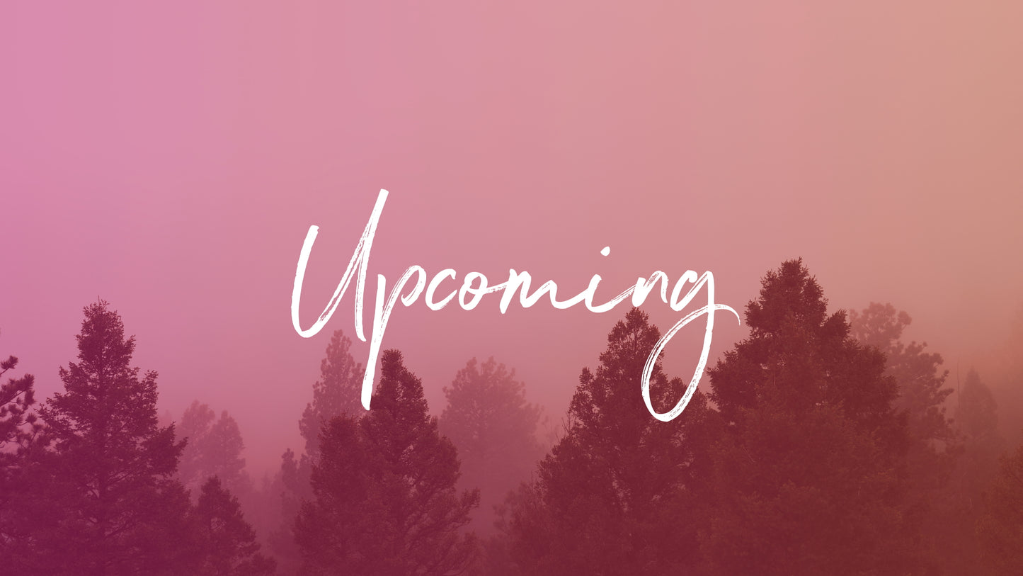 Misty Forest Upcoming