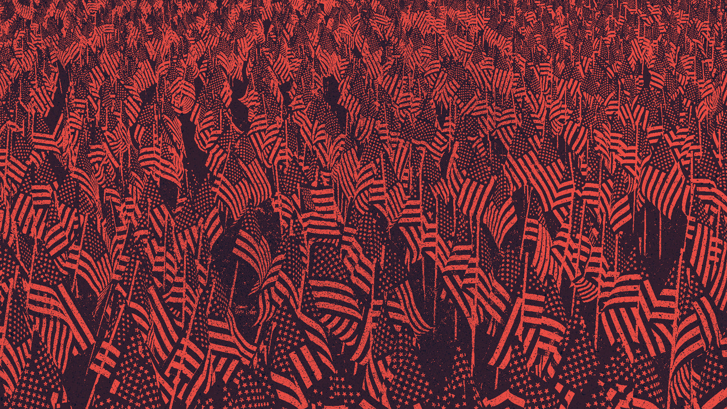 Veterans Day Red Flags