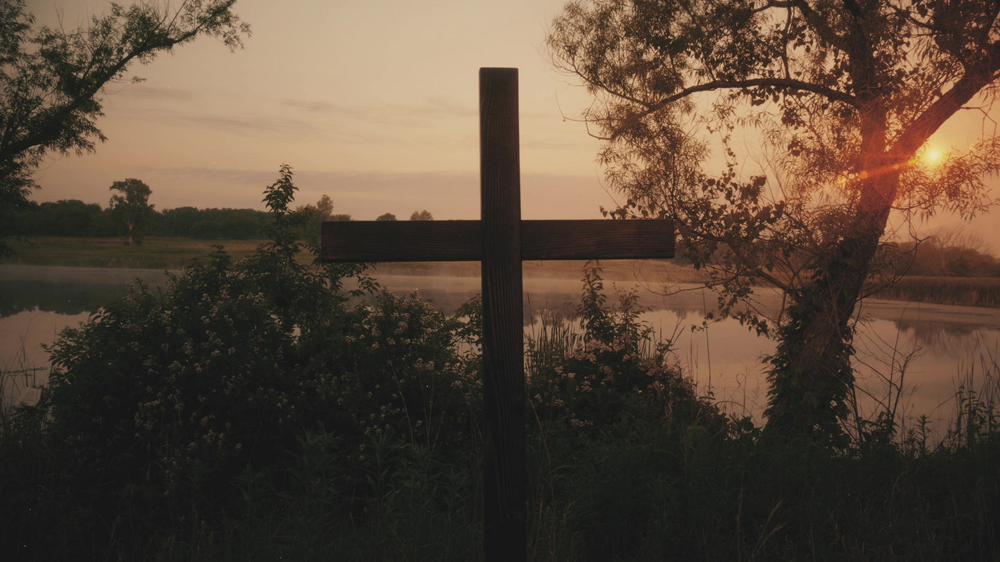 Nature Cross 1