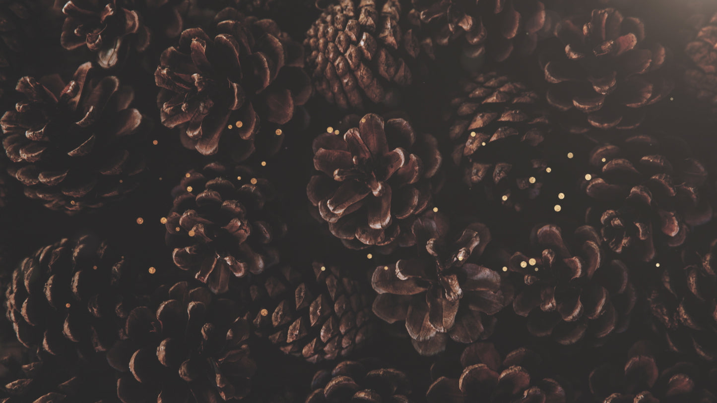 Christmas Textures Pinecones