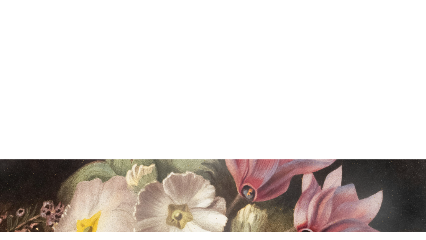 Easter Vintage Lower Third 3