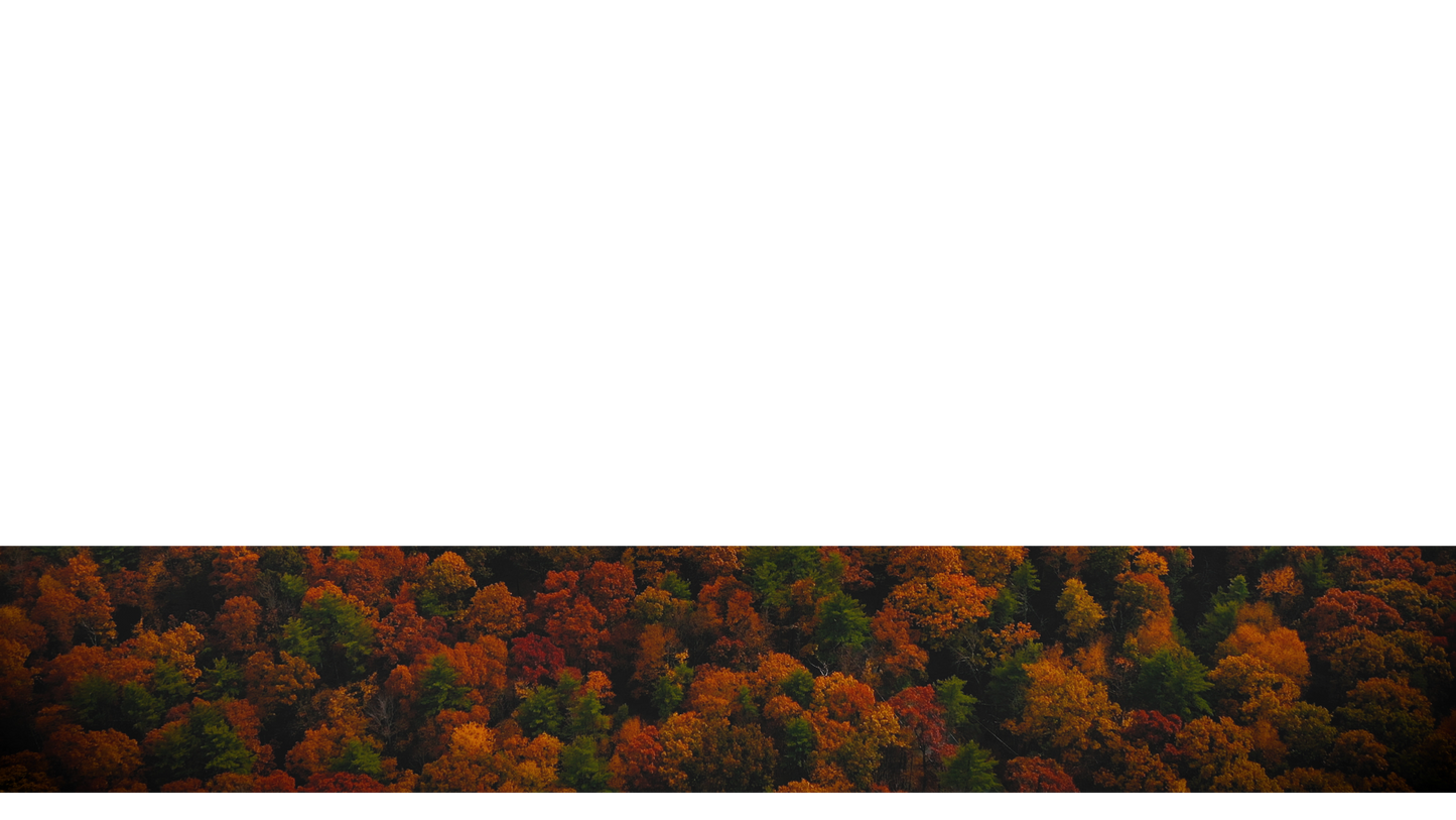 Autumn Colors Lower Third Full 2