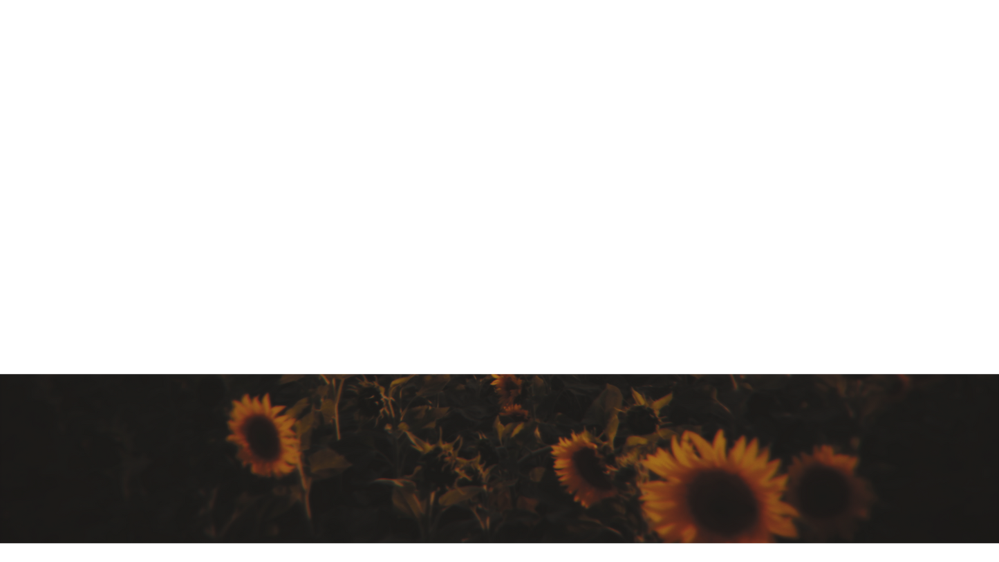 Vintage Sunflowers Lower Third Full 1