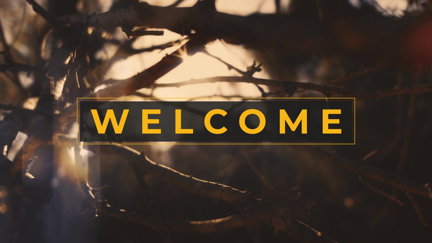 Autumn Dream Welcome