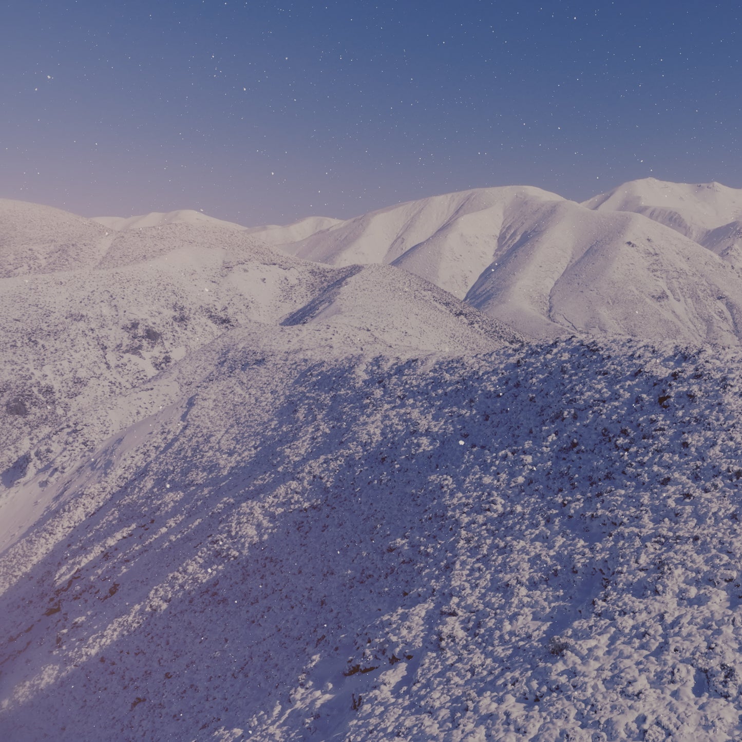 Deep Winter Sunday