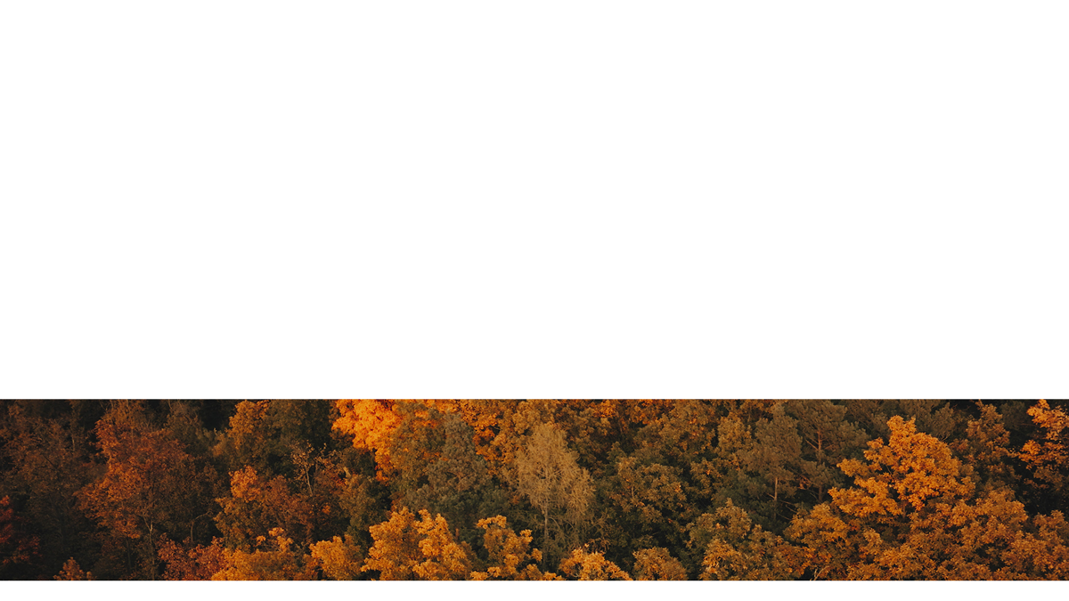 Autumn Foliage Lower Third 4